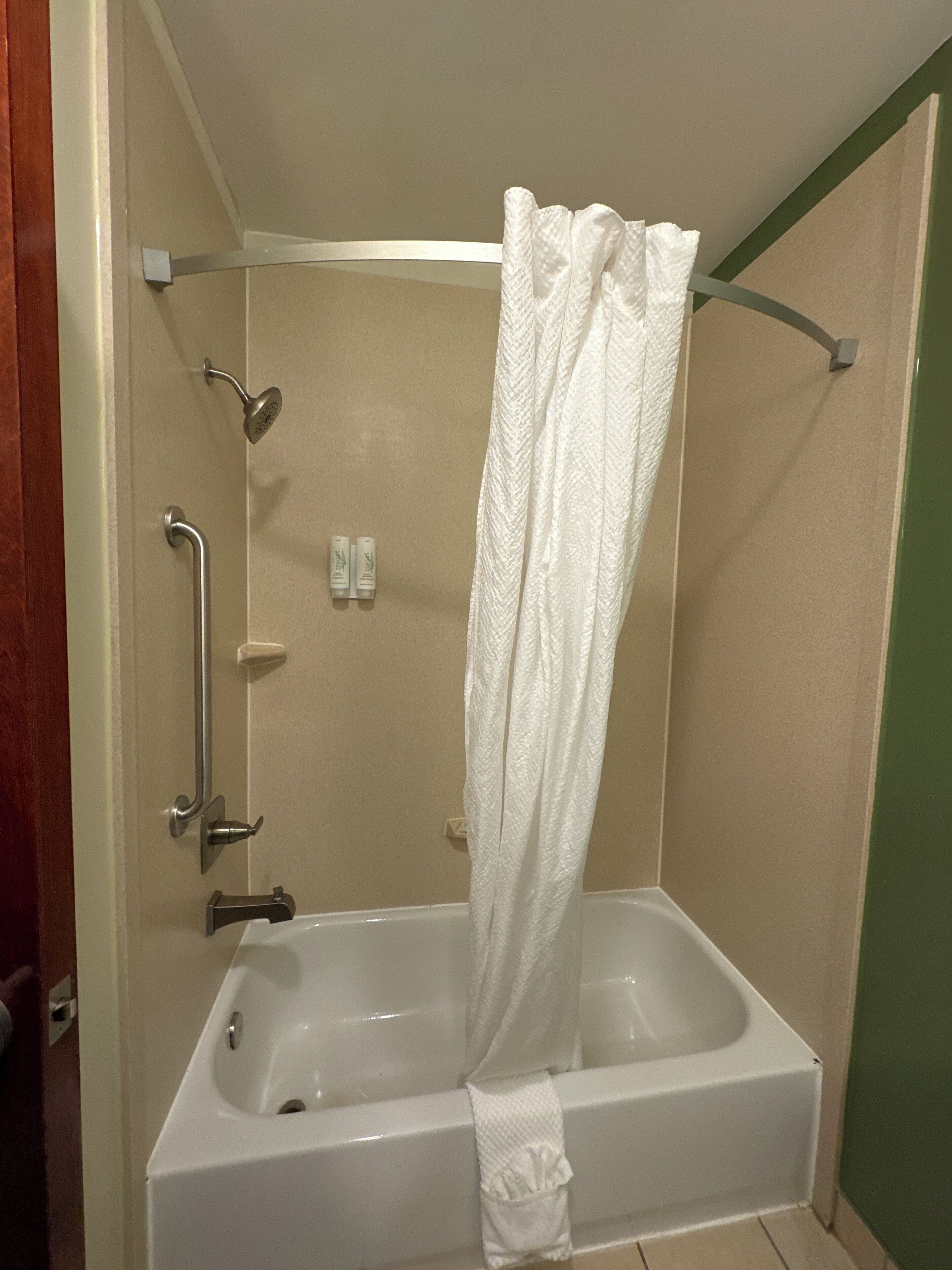 room, 1 king bed, accessible, non smoking | bathroom | combined shower/bathtub, free toiletries, hair dryer, towels