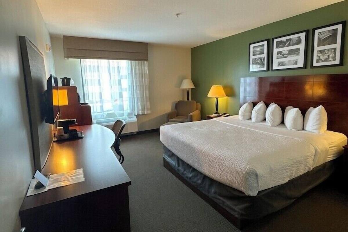 A hotel room with a bed, a desk, a chair, a lamp, and a window with curtains.