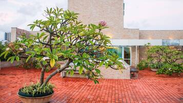 Una planta en maceta con hojas verdes y flores rosadas frente a un edificio de fachada de ladrillo.