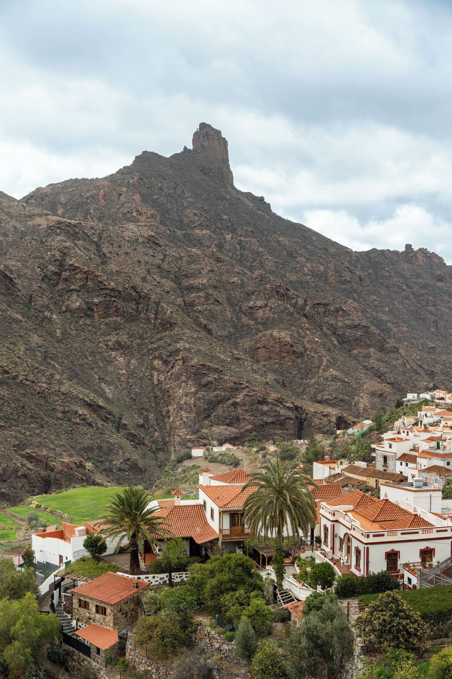 Un pueblo en una ladera con casas escalonadas, un pico de montaña destacado y una palmera.