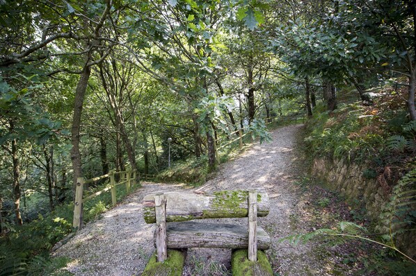A forested path with a wooden bench and a wooden fence.