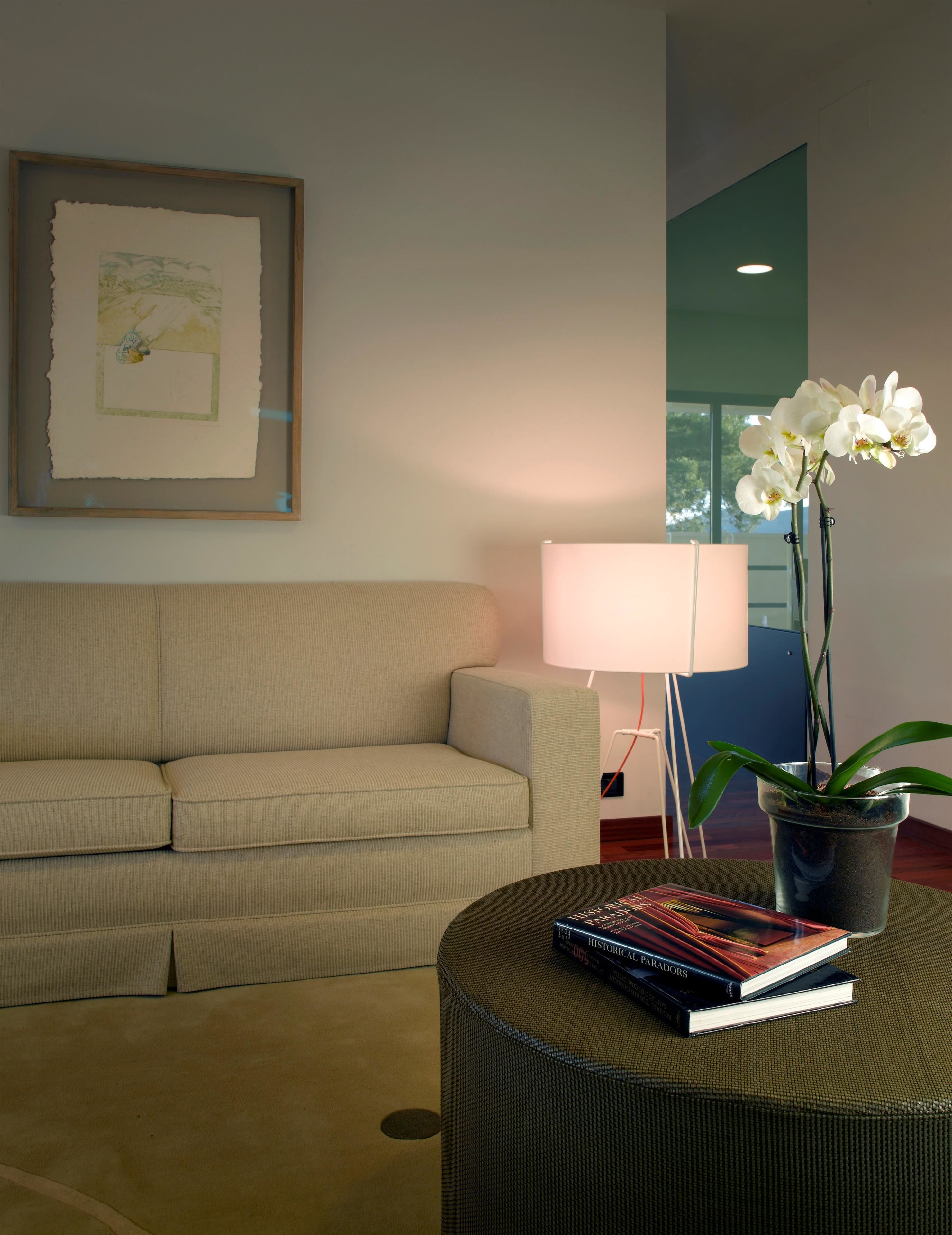 flat-screen tv, pay films