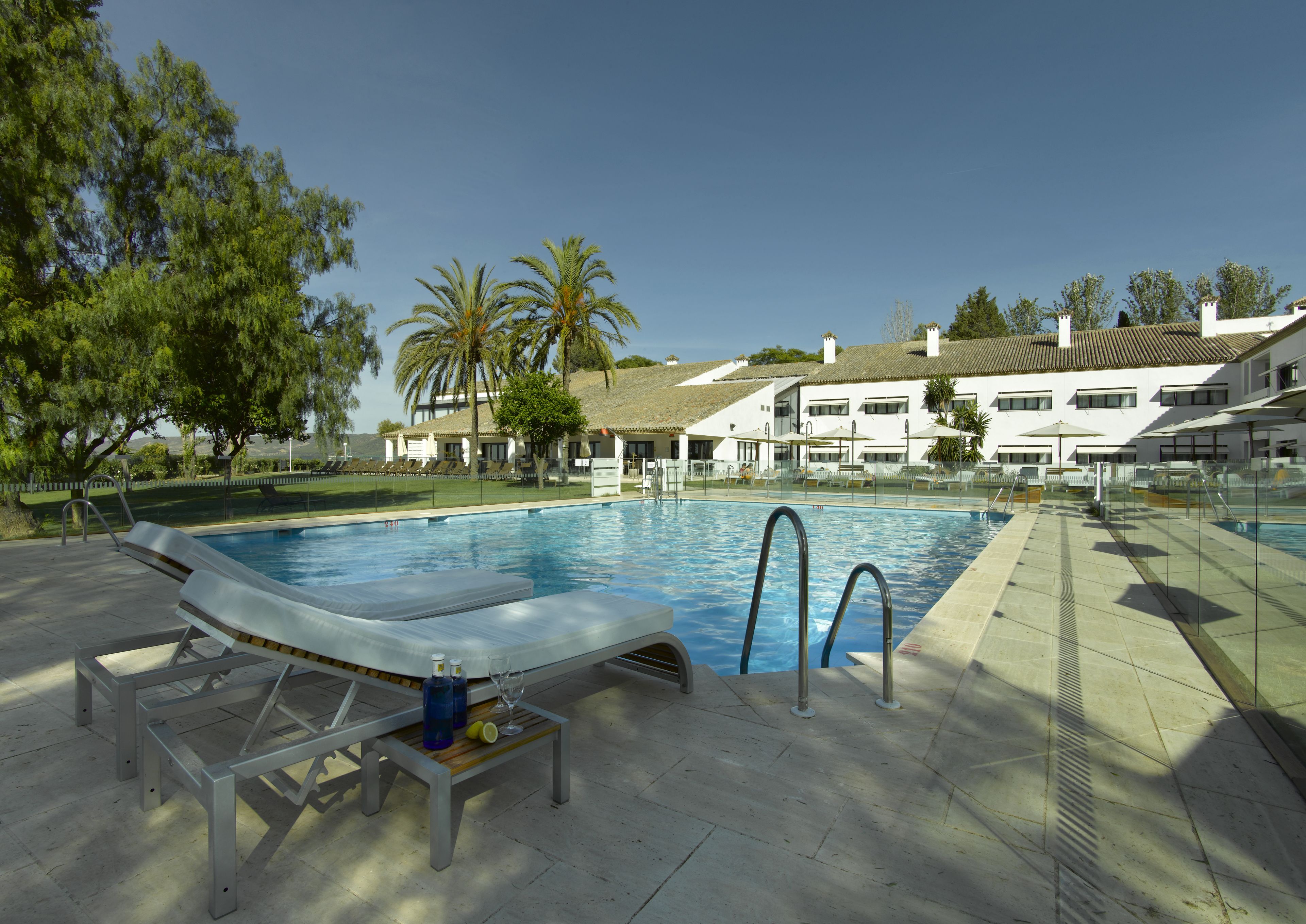 A swimming pool with lounge chairs and a table, surrounded by a fence and palm trees.