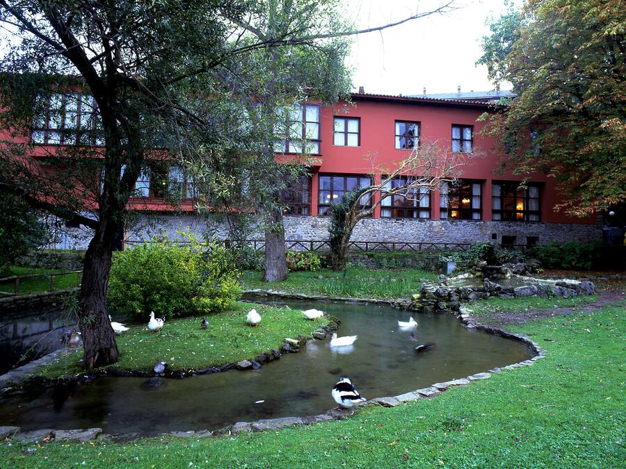 Un estanque con patos, rodeado de hierba y árboles, y un edificio rojo al fondo.