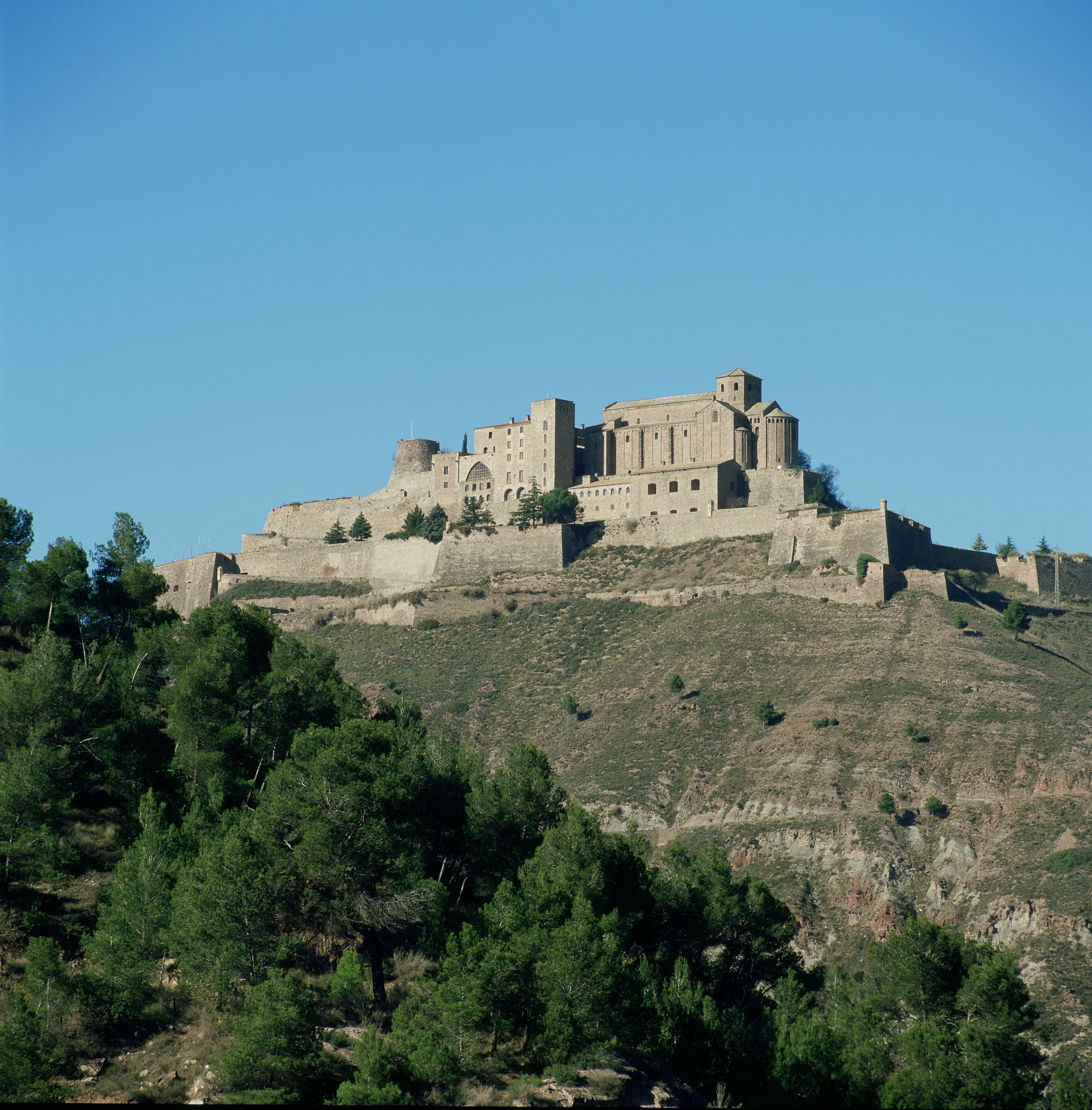 A historic castle on a hill with dense forest in the foreground.
