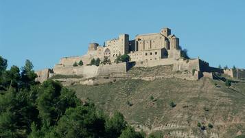 A historic castle on a hill with dense forest in the foreground.
