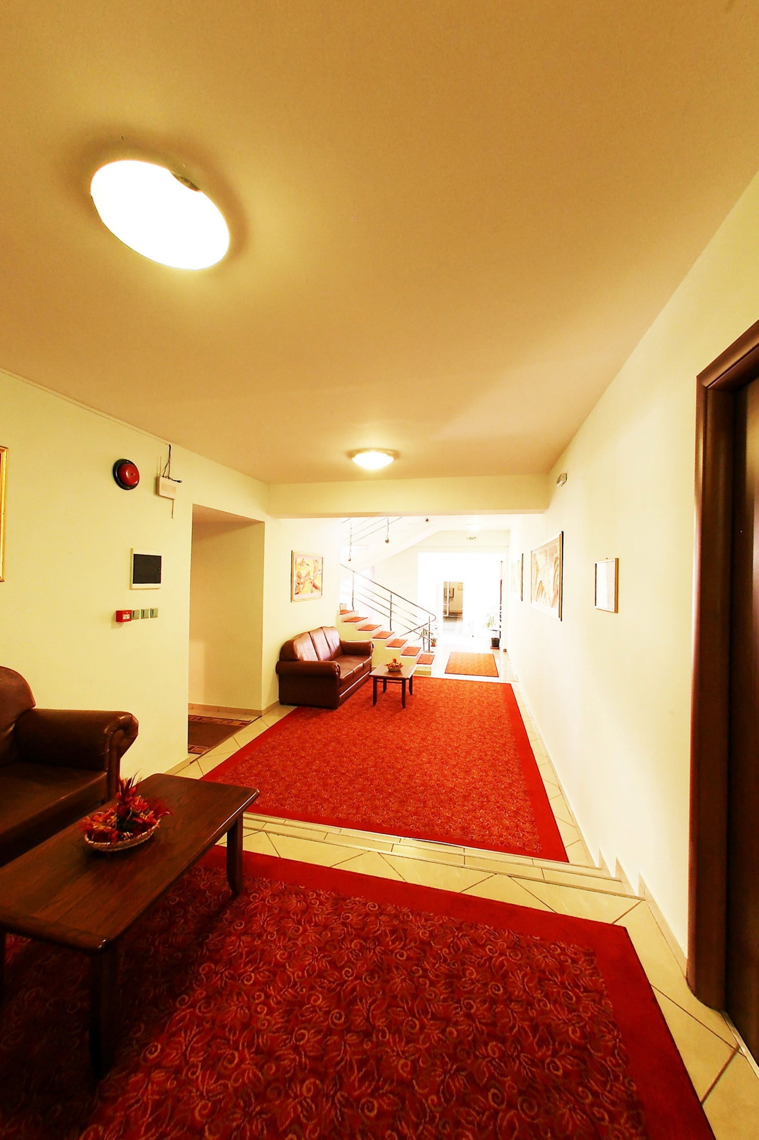 Foto - Hotel Premier