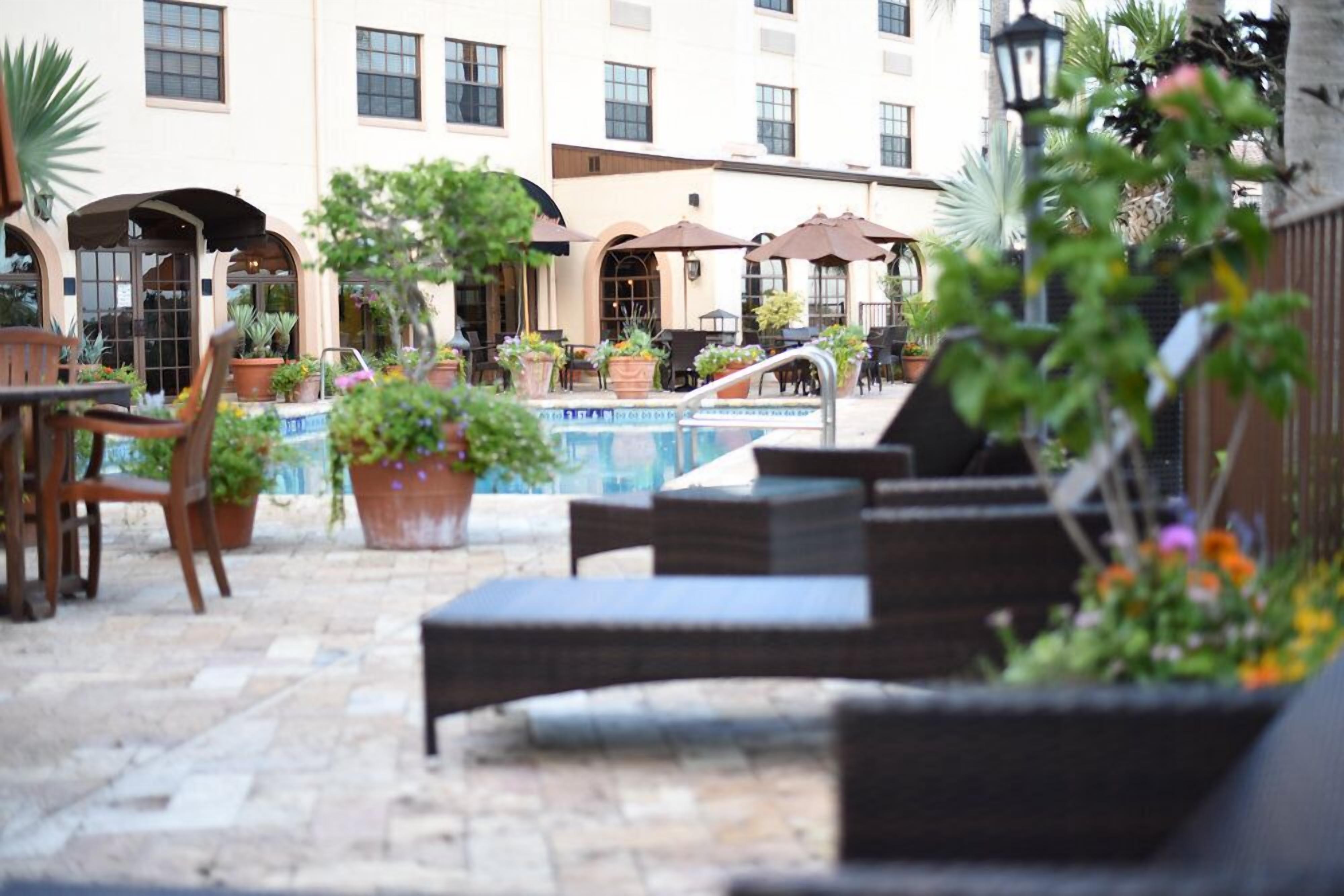 outdoor pool, pool loungers