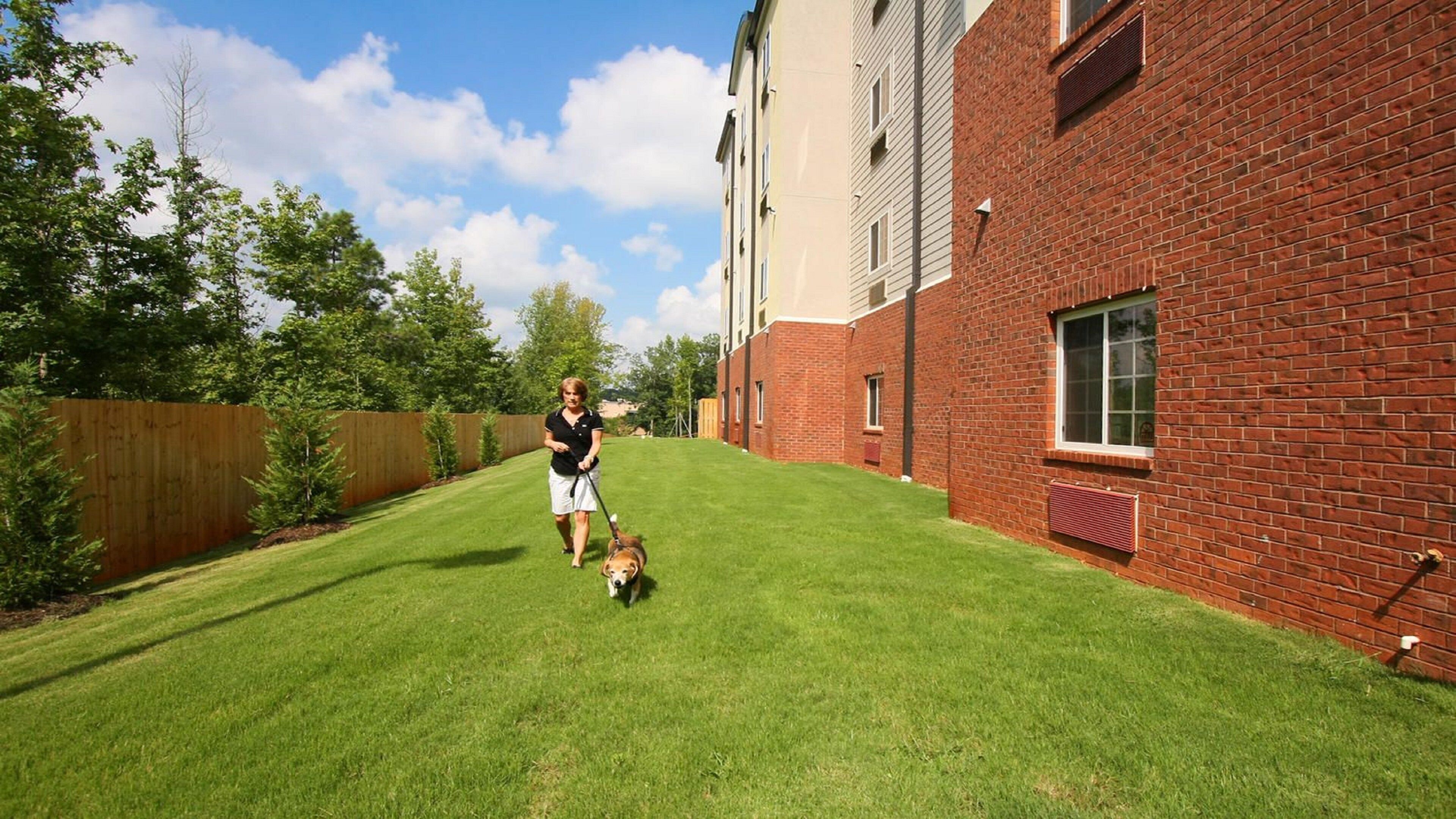 A person walking a dog in a backyard with a wooden fence, a brick building, and a clear sky.