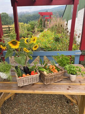 A wooden table with baskets of vegetables and a potted plant. - Ballyknocken House and Cookery School (Ballyknockan More)