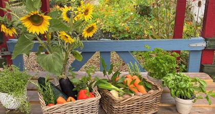 Ballyknocken House and Cookery School