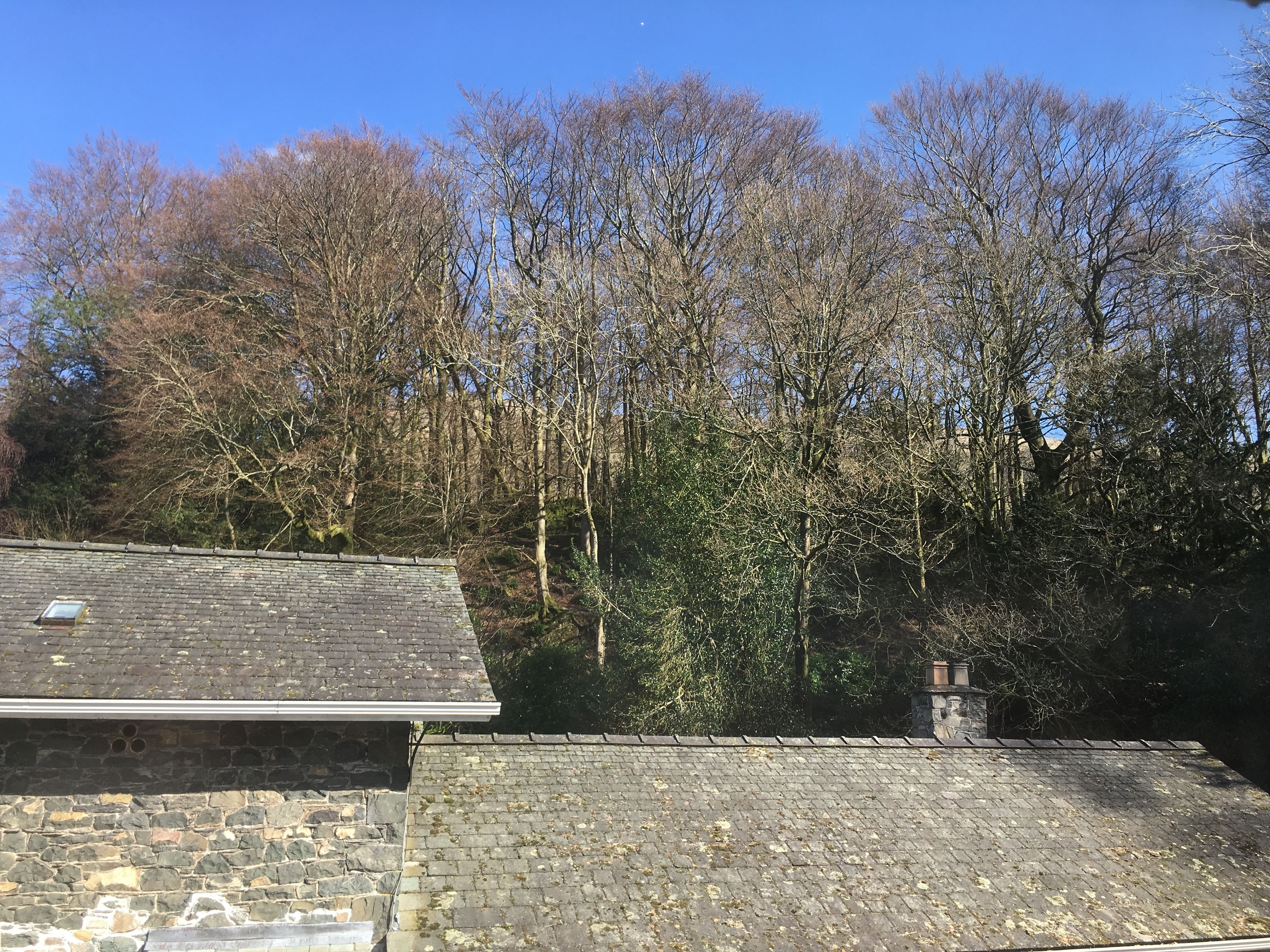 twin room | view from room