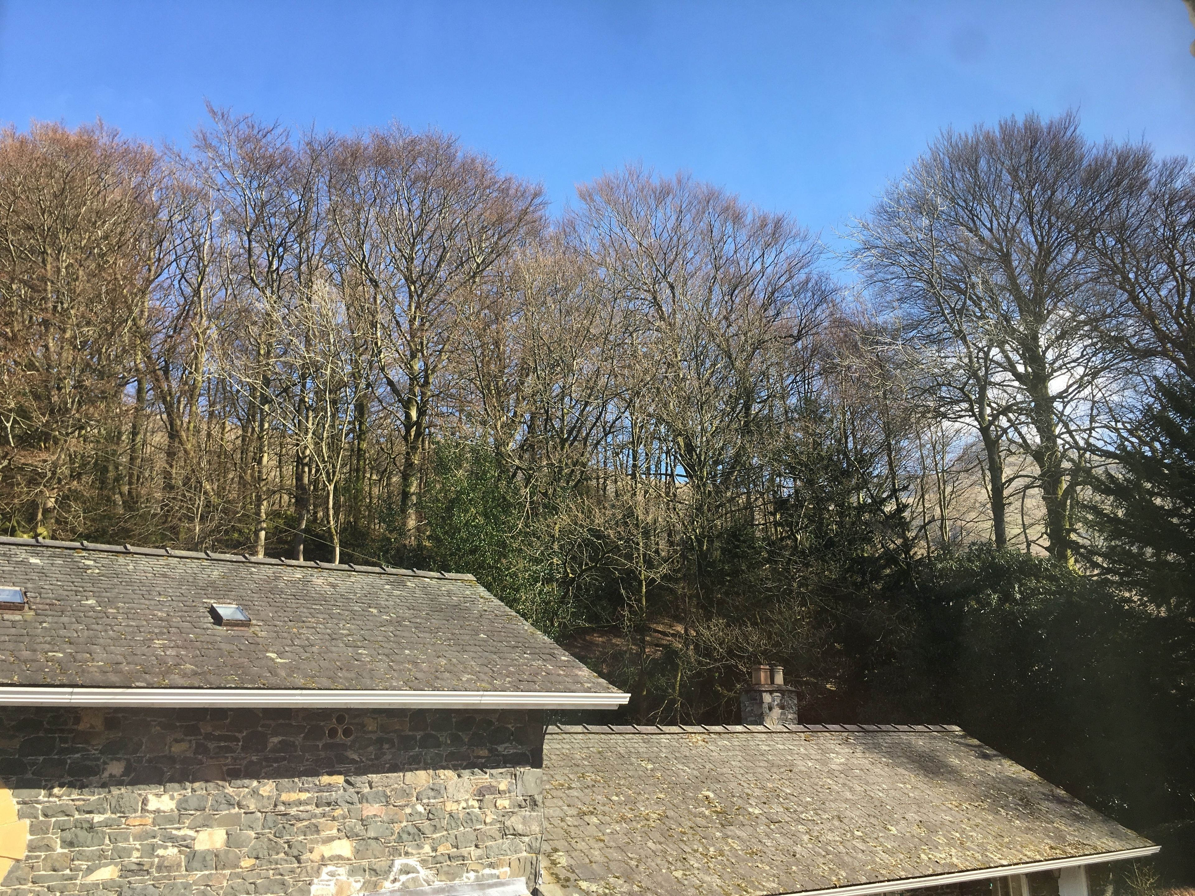 family room | view from room