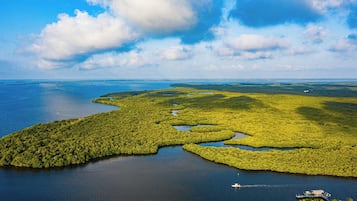 Vista aérea de uma área costeira com vegetação verde densa e corpos d'água.