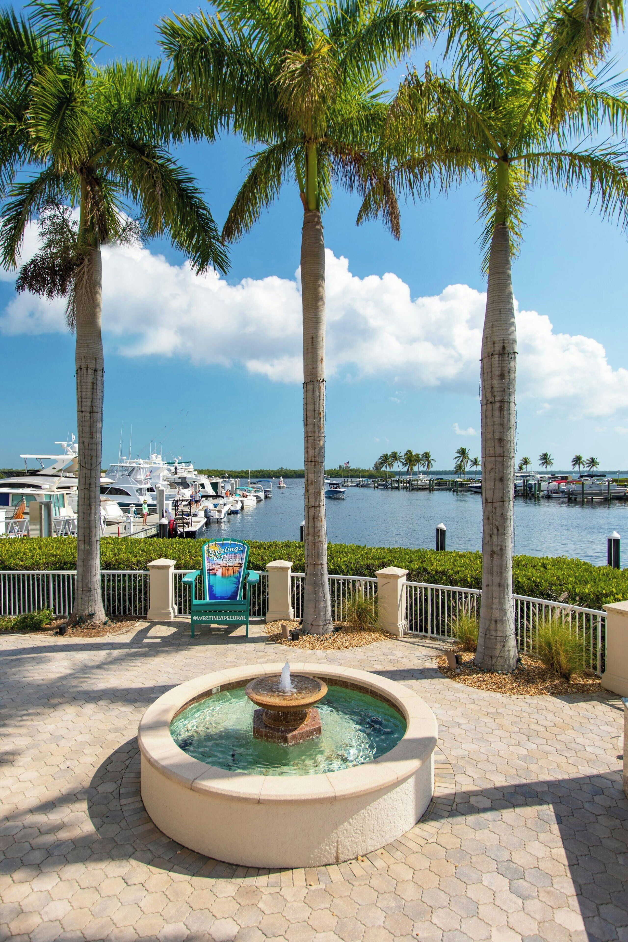 A marina with boats, palm trees, and a fountain.