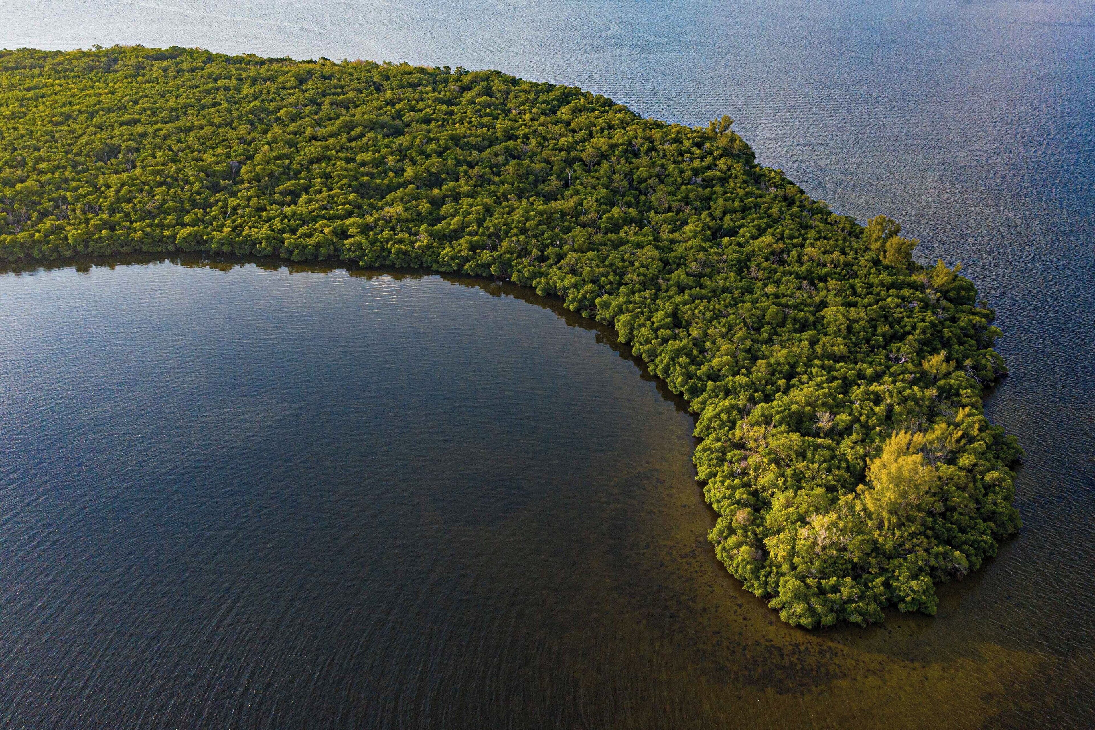Vista aérea de una isla exuberante y verde rodeada de aguas tranquilas.