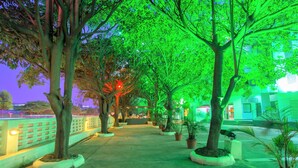 A tree-lined pathway with potted plants and a brick wall on one side. - Ginger Bangalore Whitefield (Bengaluru)