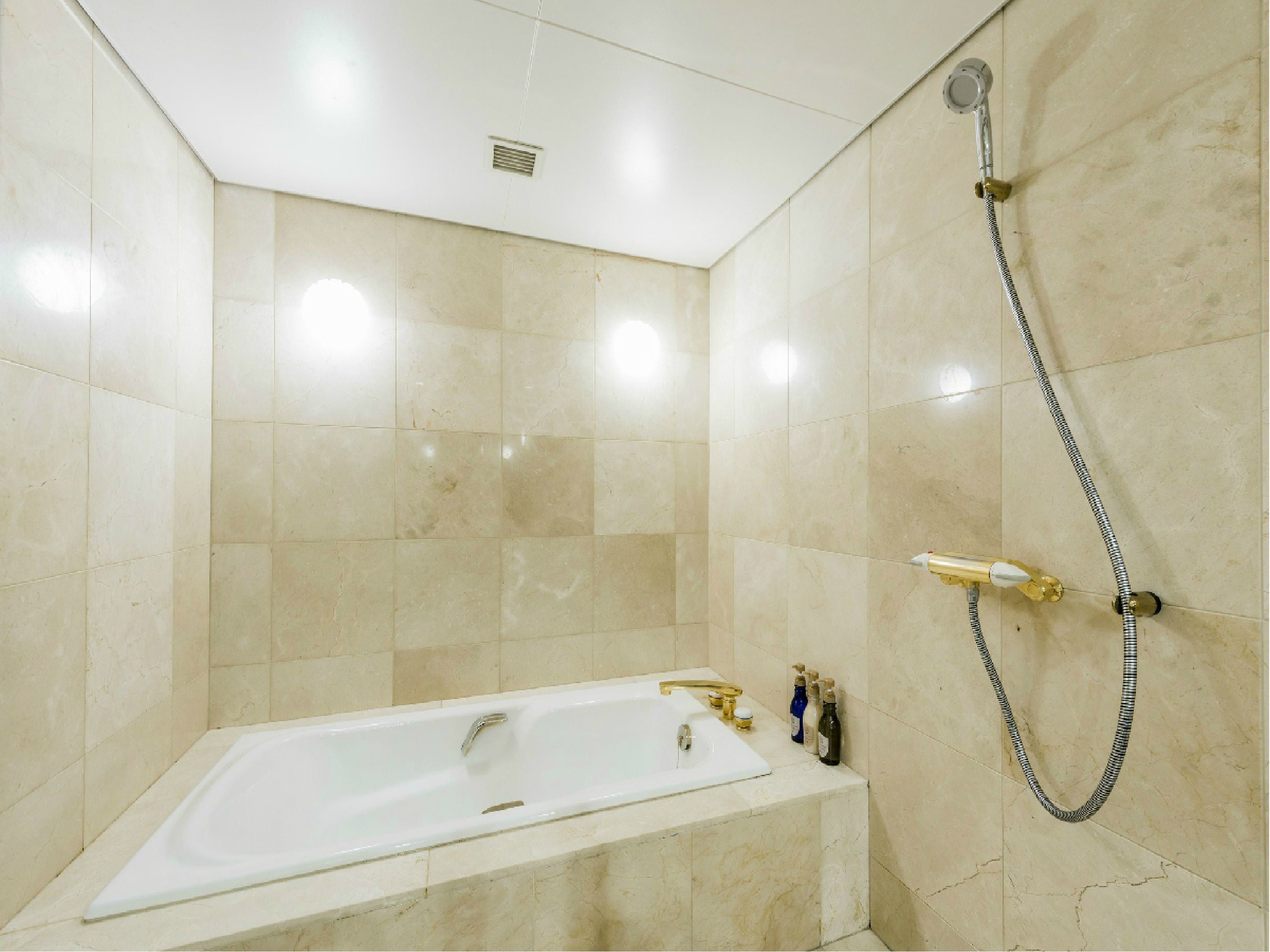 A modern bathroom with a bathtub, a shower, and a hand shower.