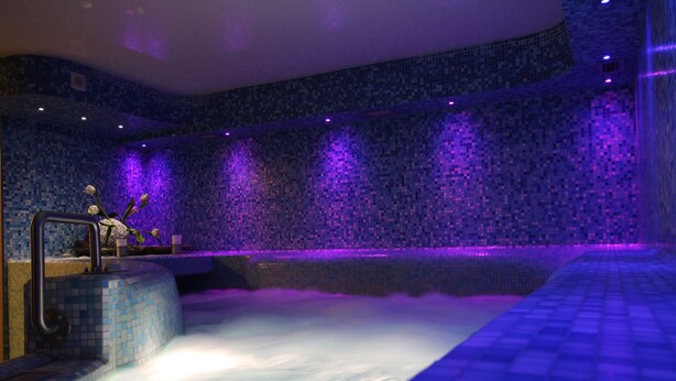 A spa area with a large bathtub, tiled walls, and a small plant. - Maritan Hotel & Spa (Padova)
