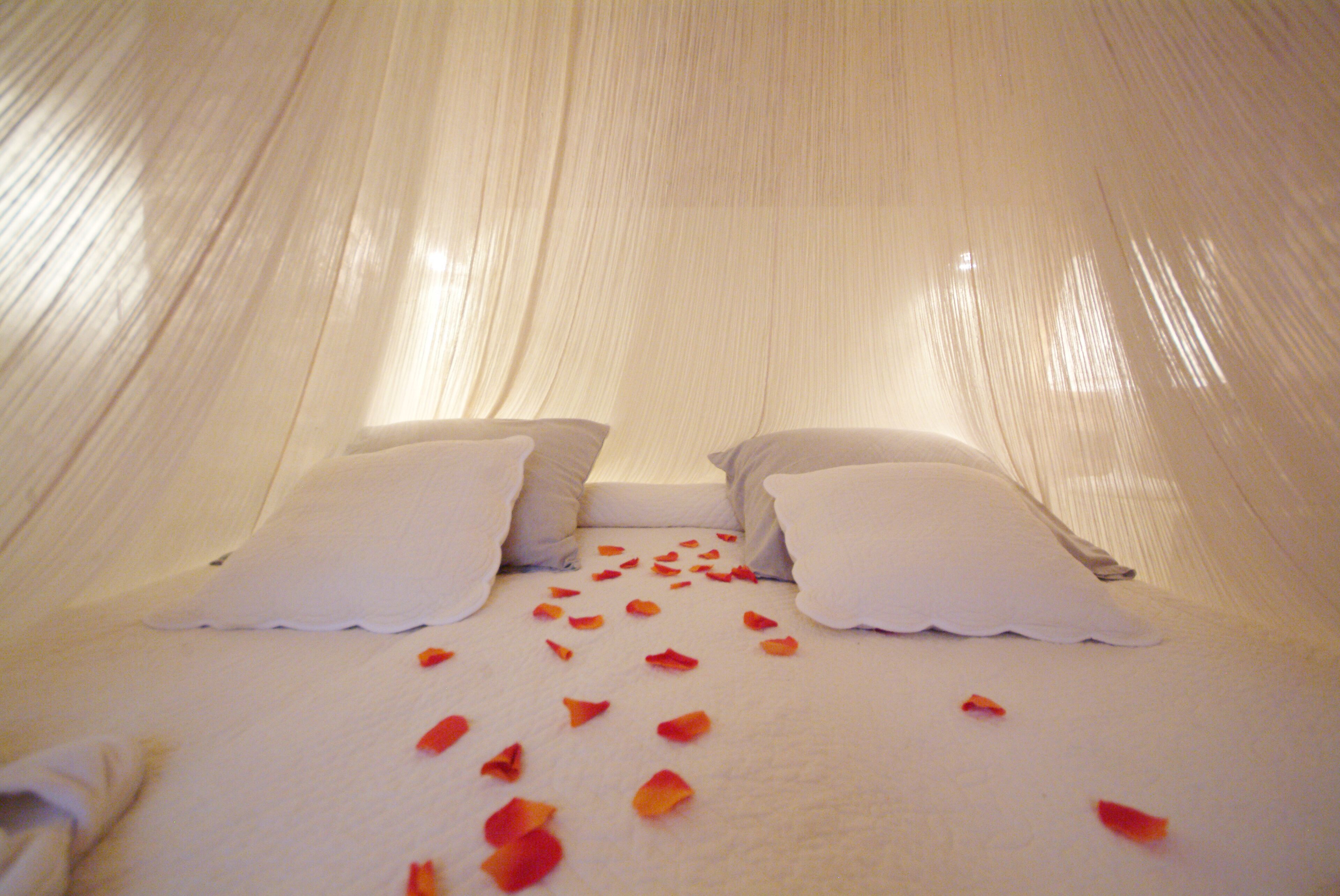 Uma cama com lençóis e almofadas brancas, e pétalas de rosa espalhadas sobre a cama.