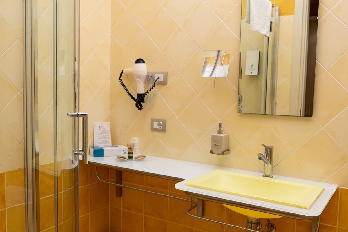 shower, hair dryer, bidet, towels