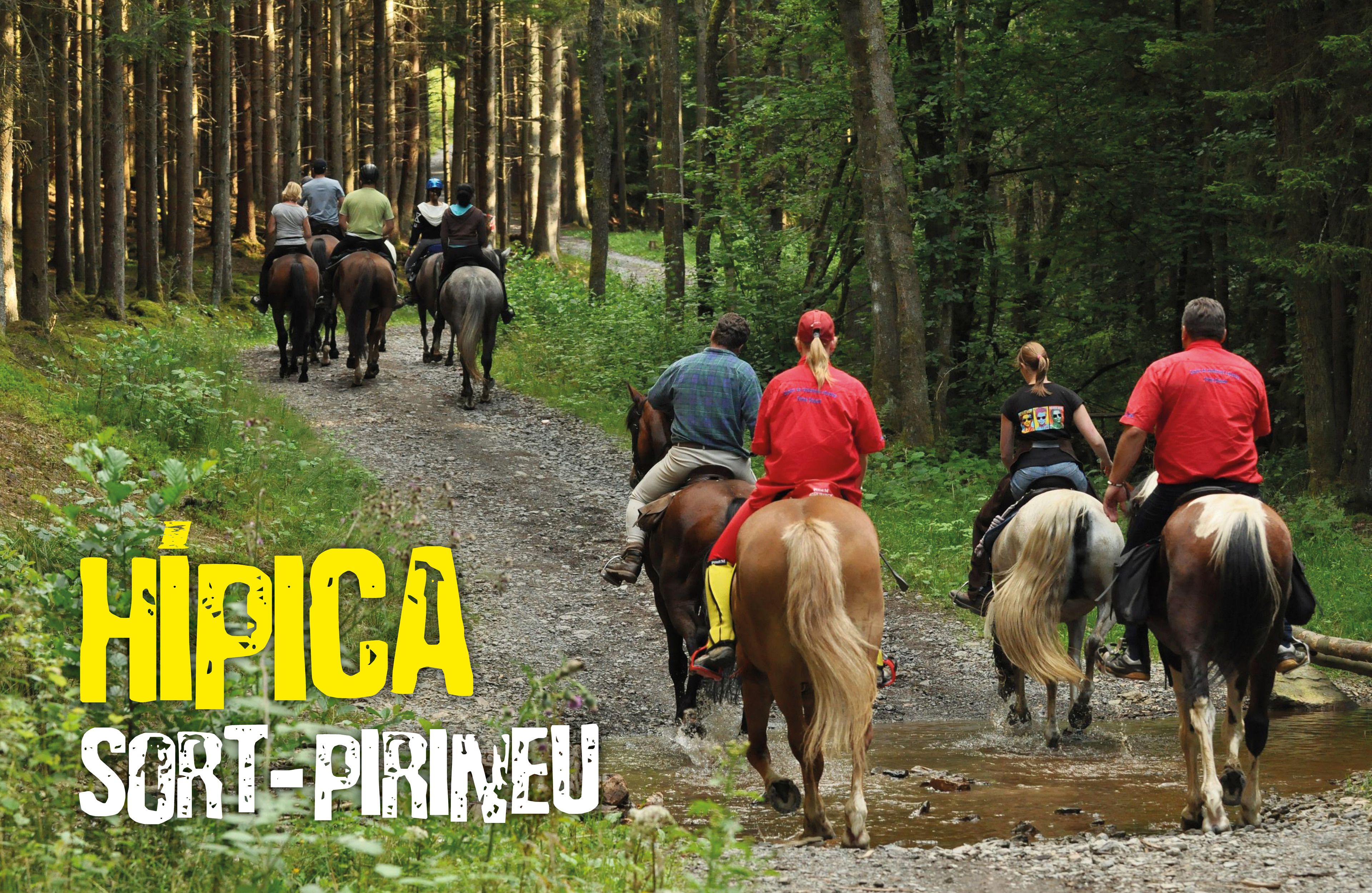 Un grupo de personas montando a caballo por un sendero embarrado en un área boscosa.