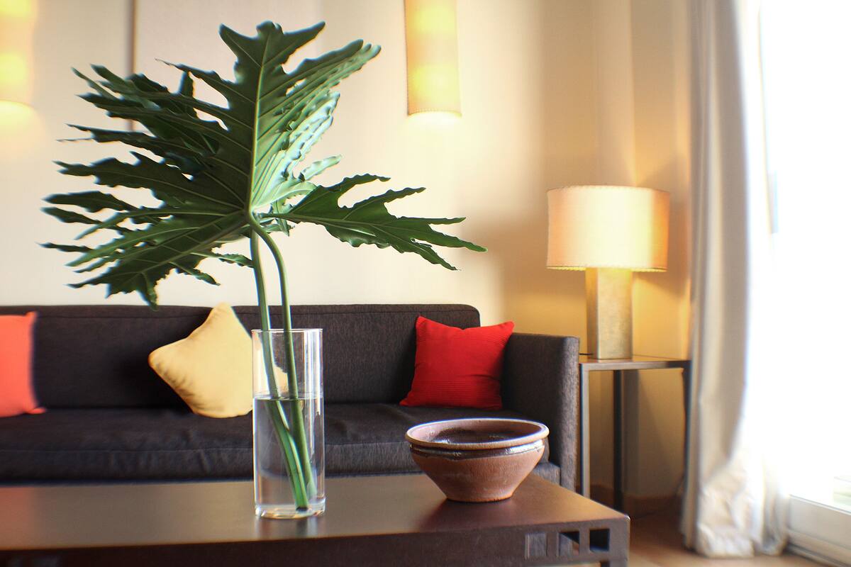 A living room with a dark sofa, a red pillow, a clear vase with a plant, a small bowl, and a lamp.