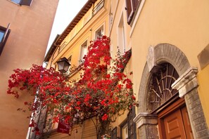 Una stretta via con un edificio caratterizzato da un cespuglio di fiori rossi e una porta in legno.