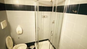 Shower, bidet, soap, toilet paper
