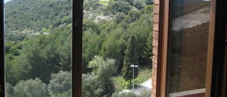 View from room