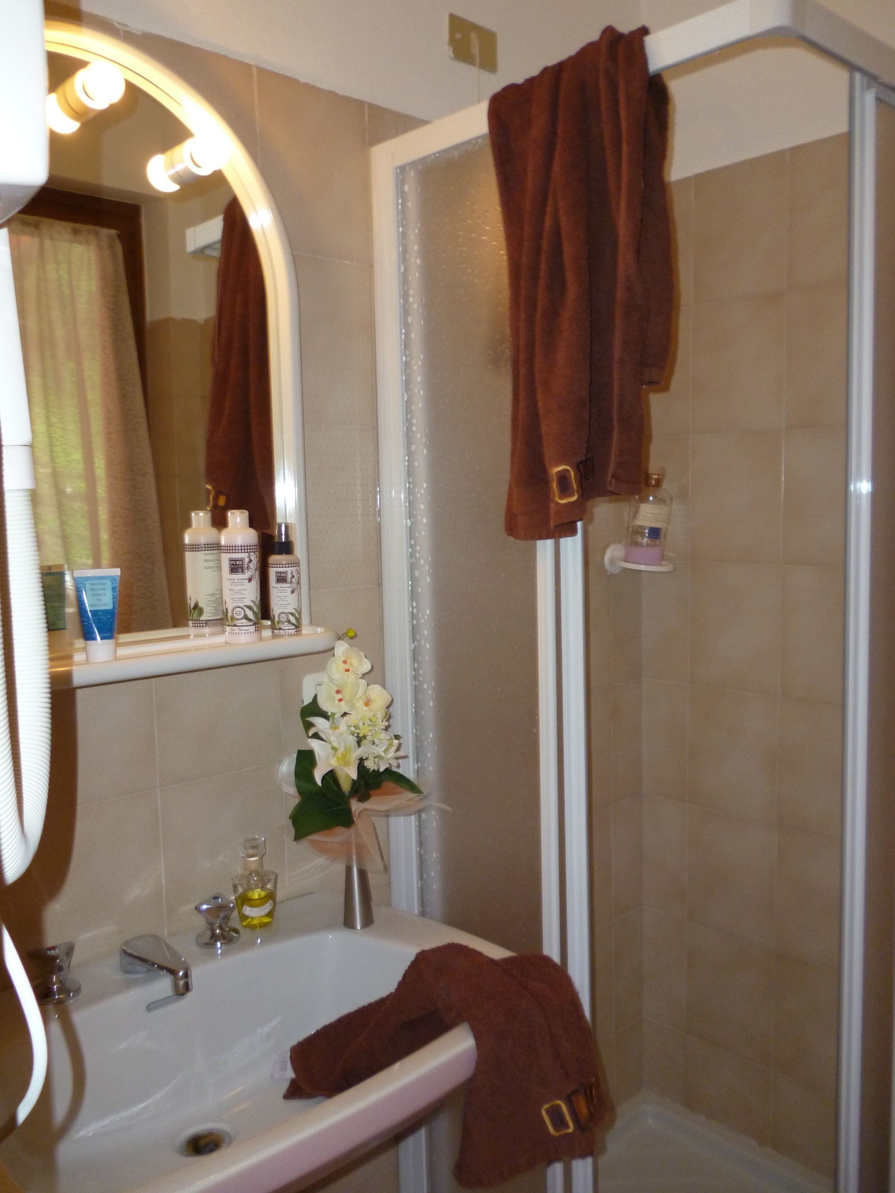 shower, free toiletries, hair dryer, bidet