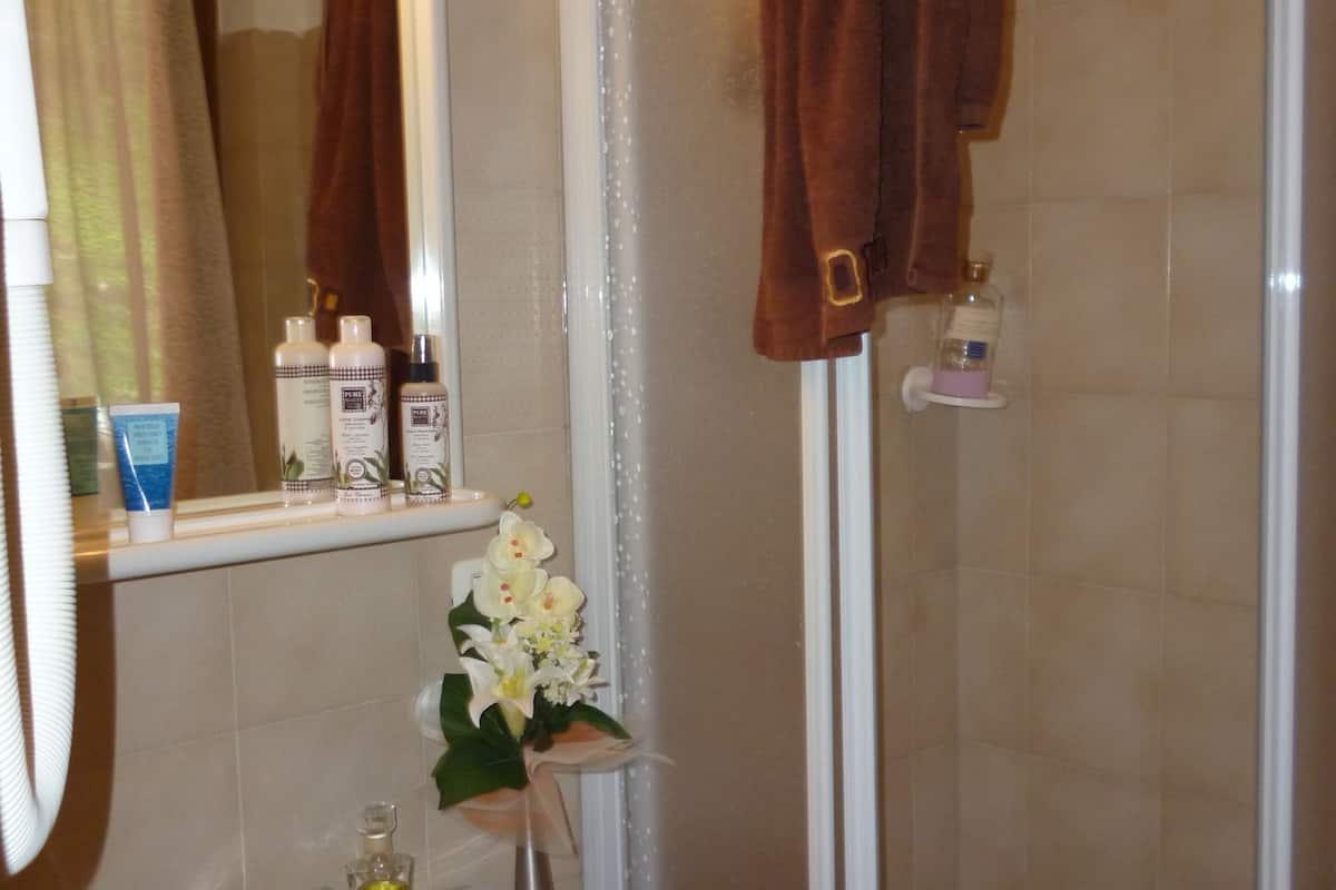 shower, free toiletries, hair dryer, bidet