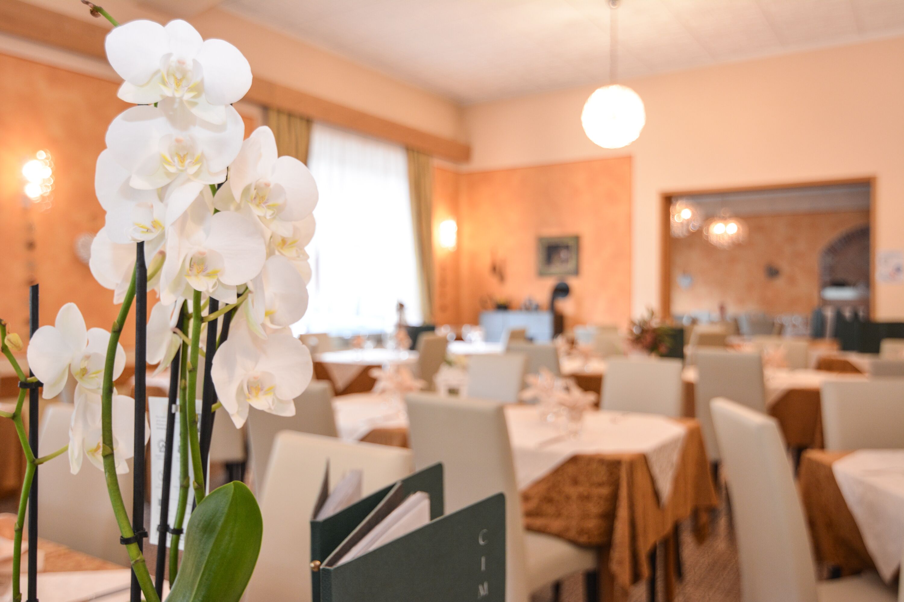 breakfast, lunch, dinner served; seafood, garden views