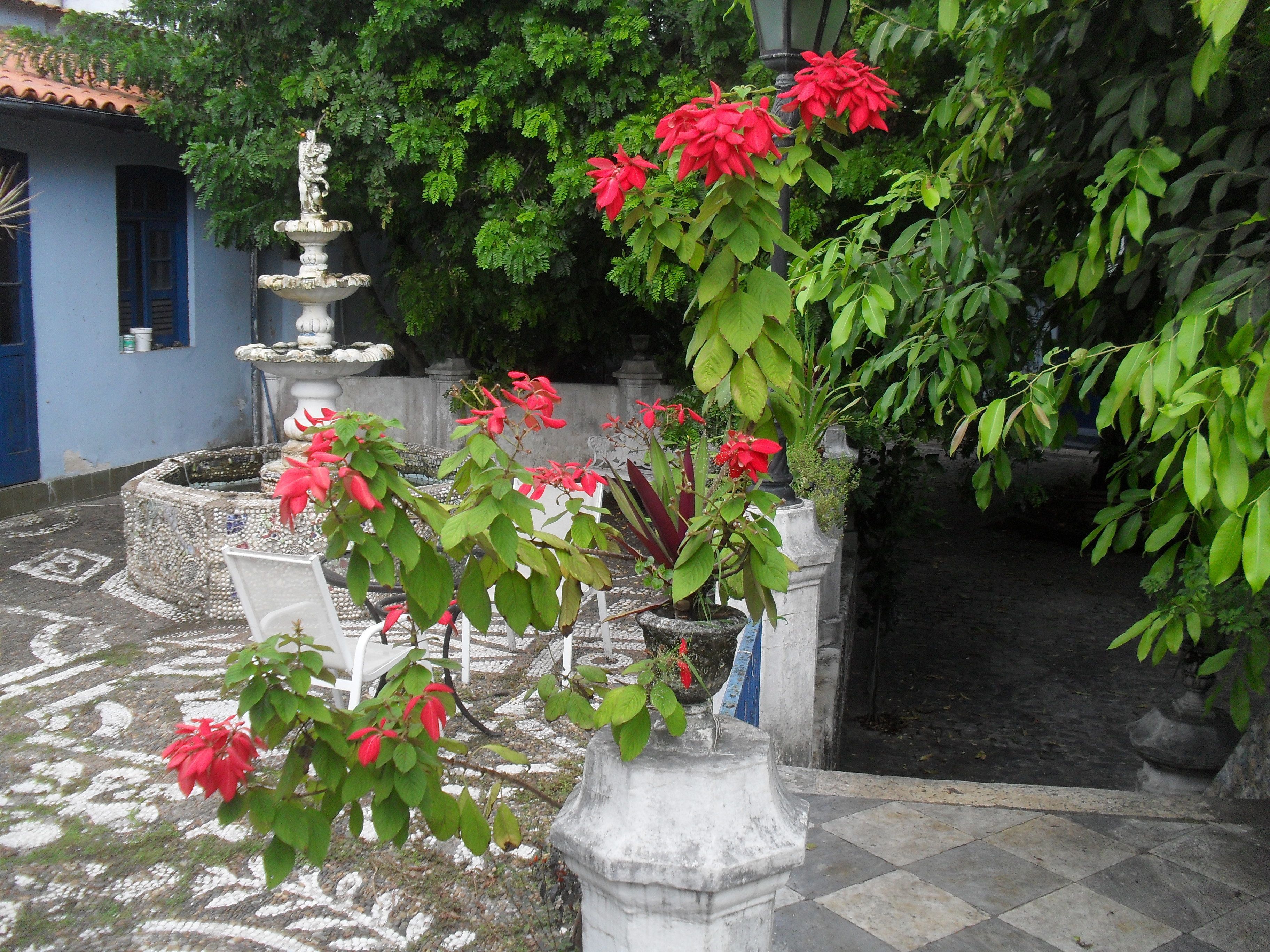 Un patio con una fuente, plantas en macetas y un edificio azul.