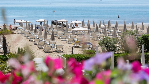 A beach with rows of sun loungers and umbrellas, a clear view of the sea, and a sandy path leading to the beach.