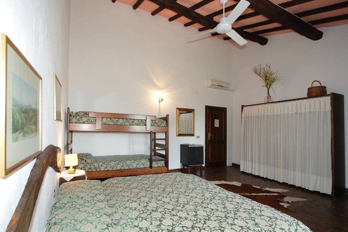 A room with bunk beds, a television, a ceiling fan, a door, and a window with curtains.