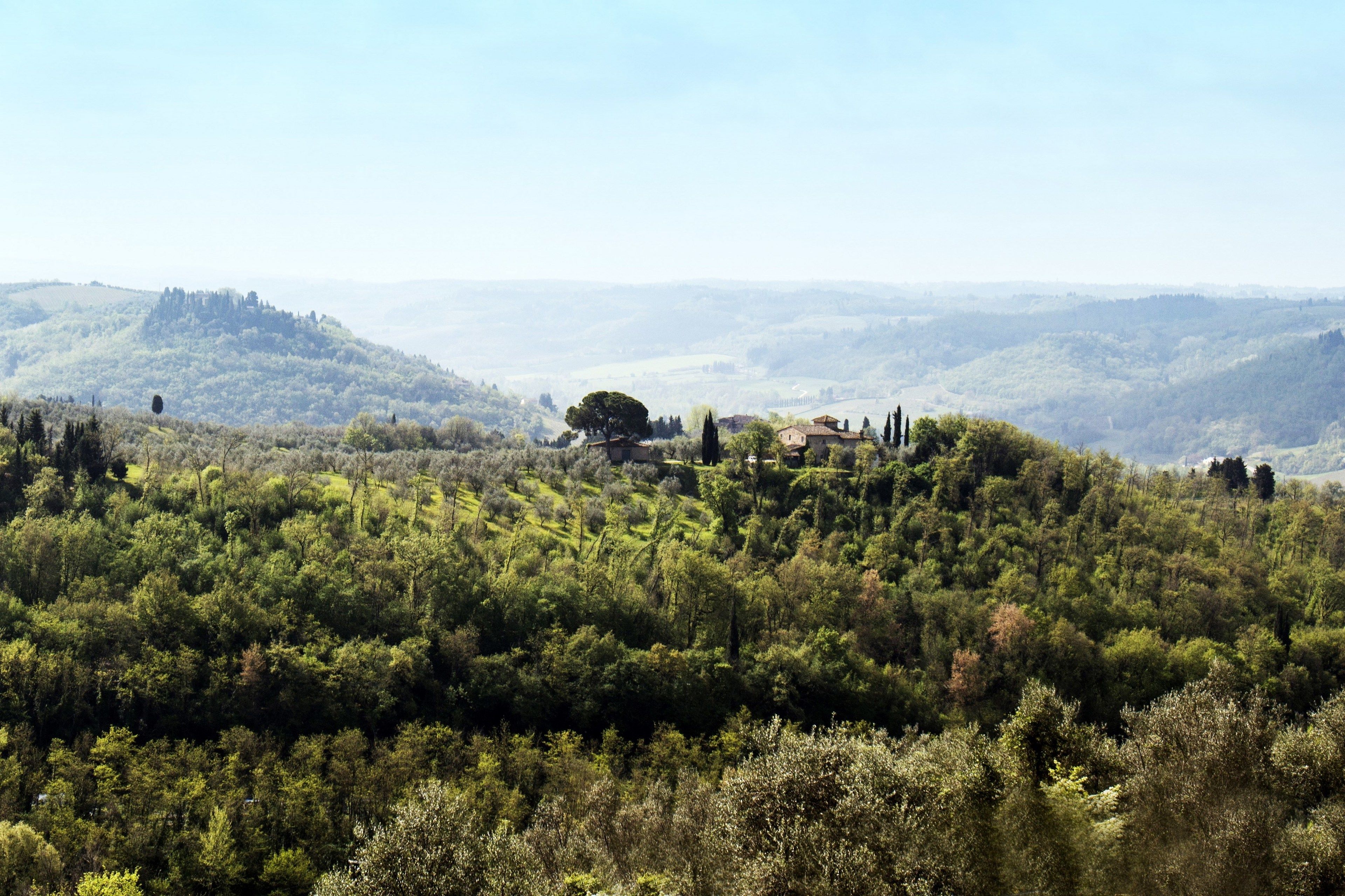 Photo - Villa Il Fedino