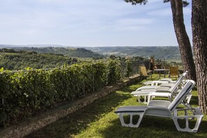 Pemandangan dari hartanah