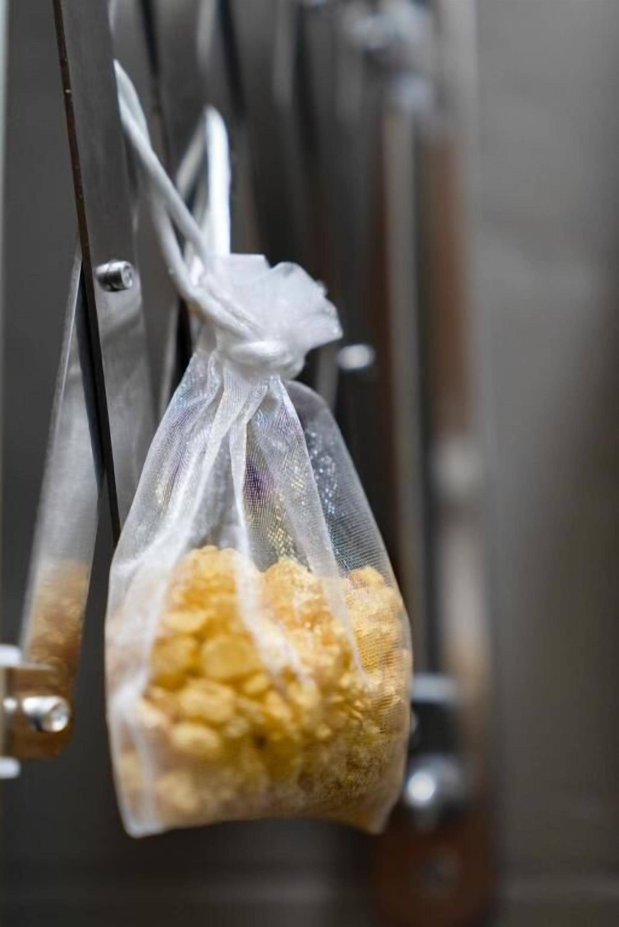 Photo - Merulana Star