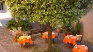 Uma área de pátio ao ar livre com mesas cobertas por toalhas de mesa laranja e uma árvore no centro.