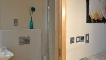 Combined shower/bathtub, free toiletries, hair dryer, towels