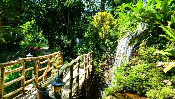 Een houten brug met lantaarnpaal, die naar een waterval leidt, omringd door weelderig groen.