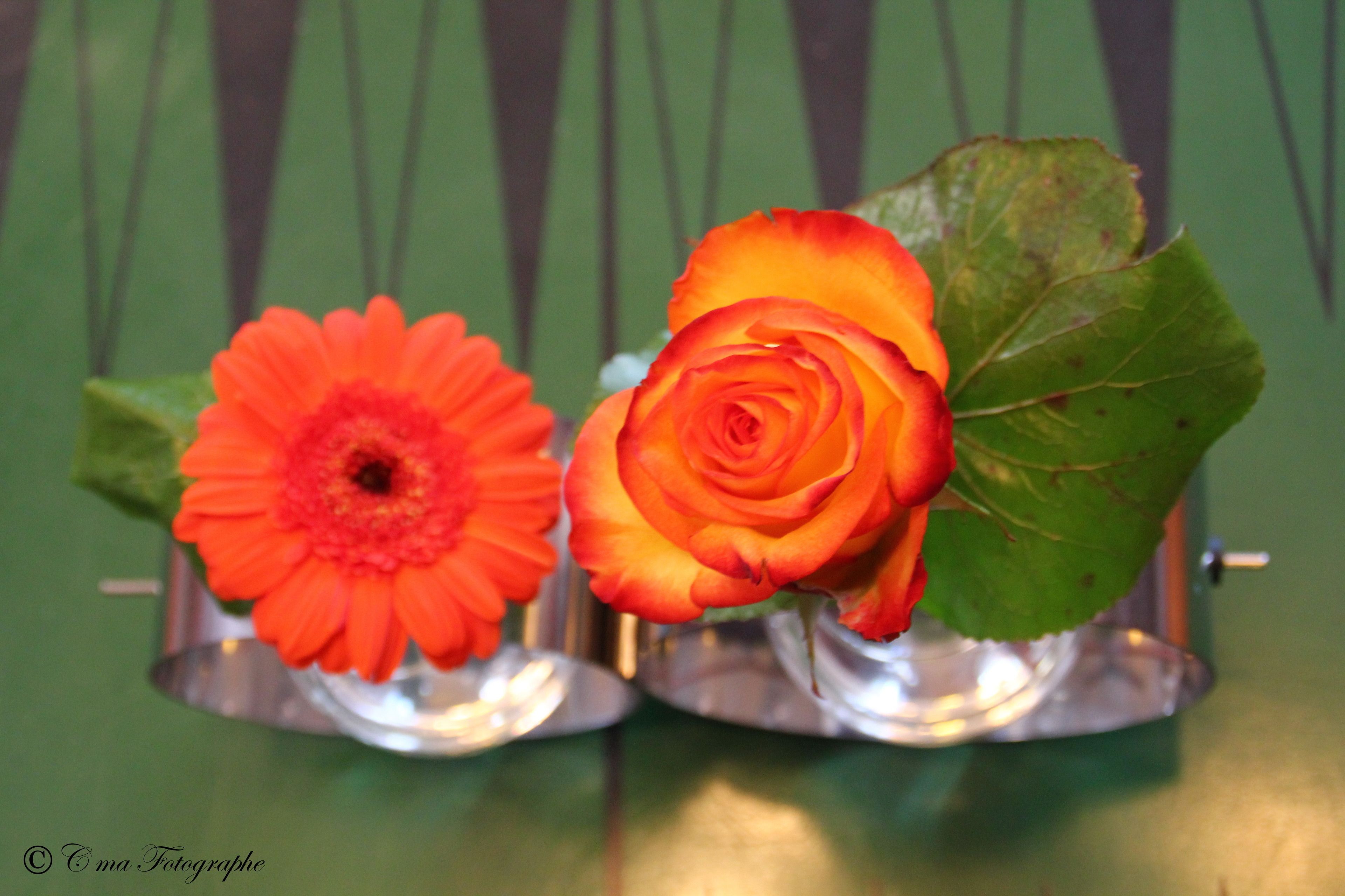 desk, blackout curtains, soundproofing, rollaway beds