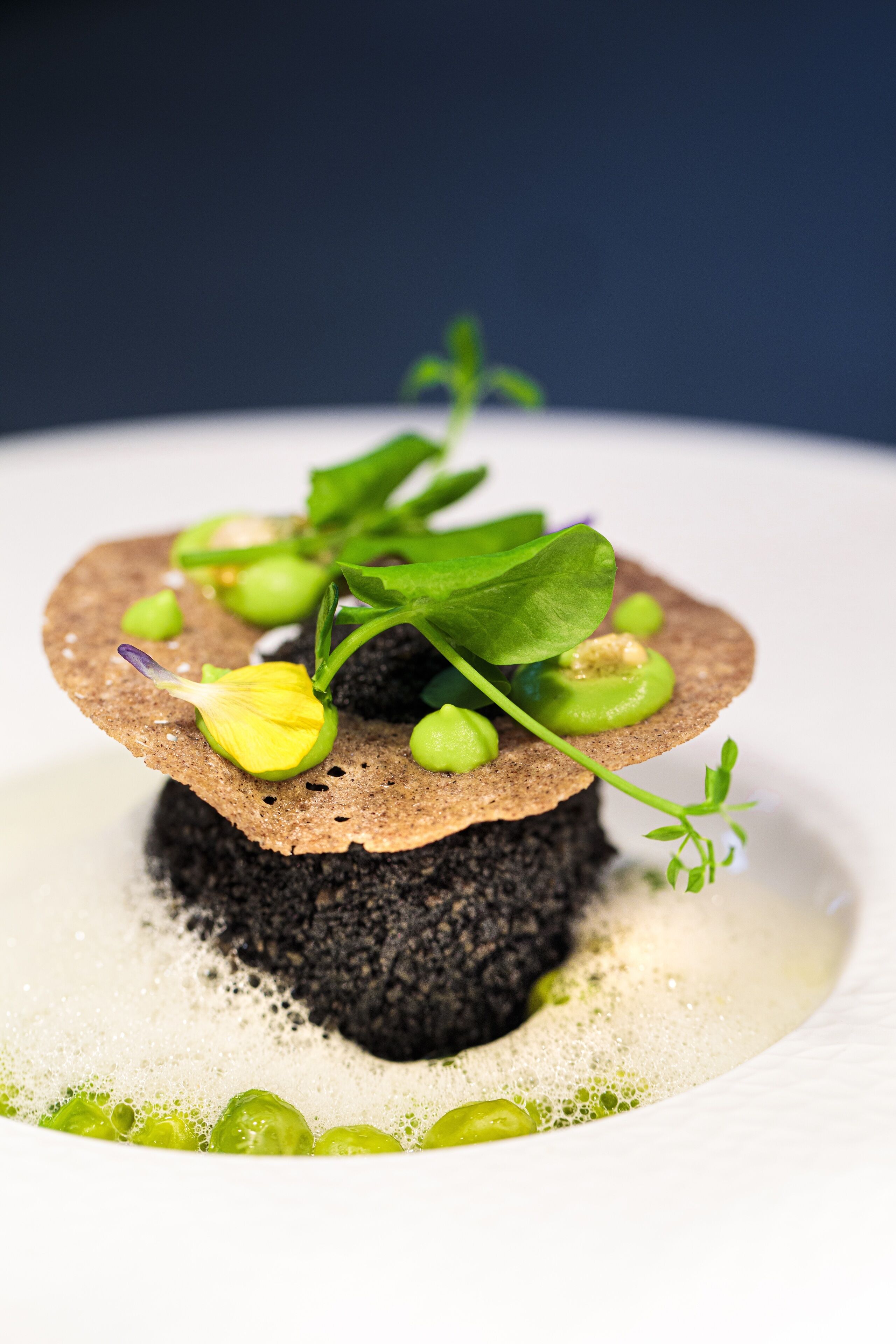 Un dessert composé d’une base de gâteau, de petits pois verts et décoré d’une feuille.
