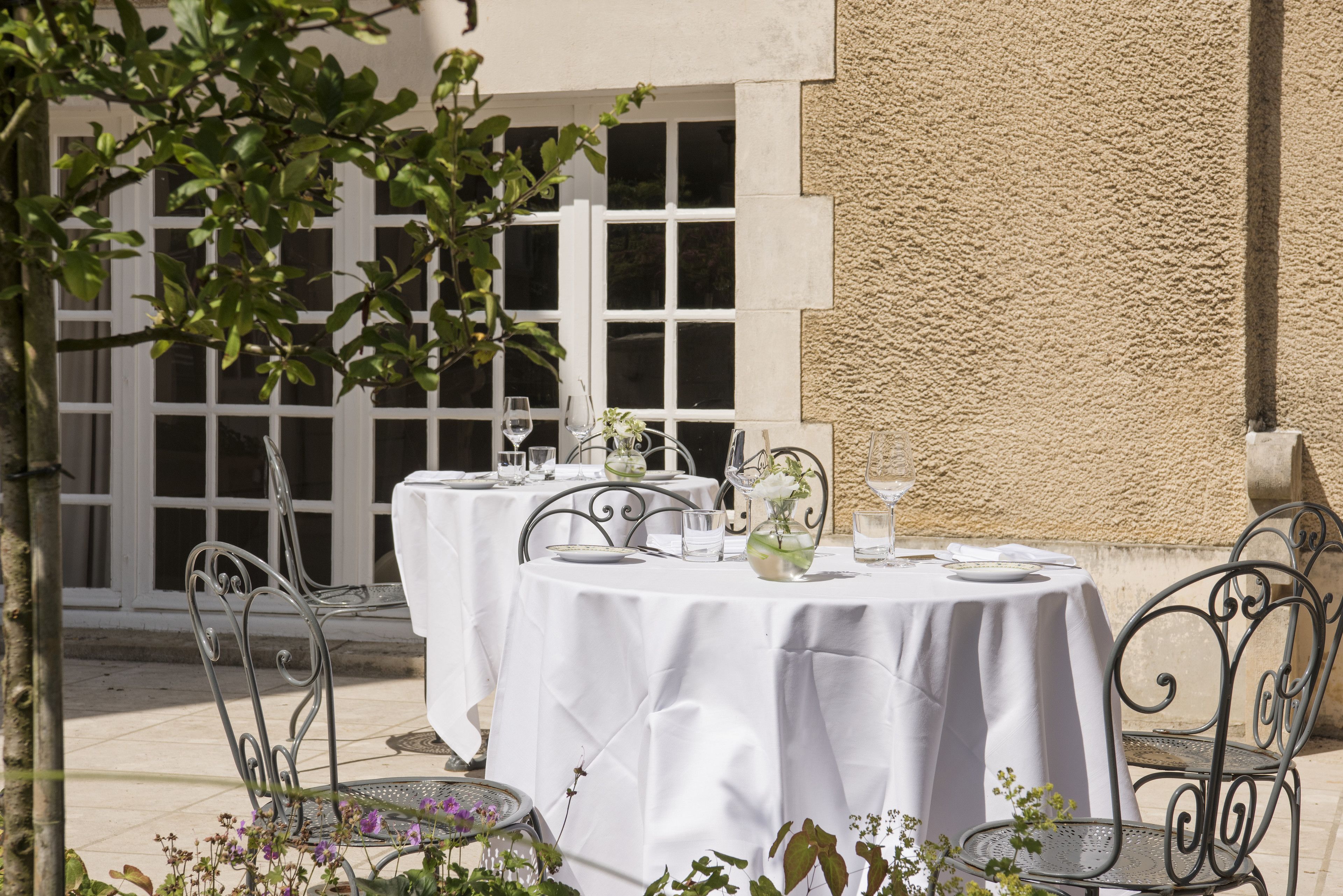 French cuisine, garden views 