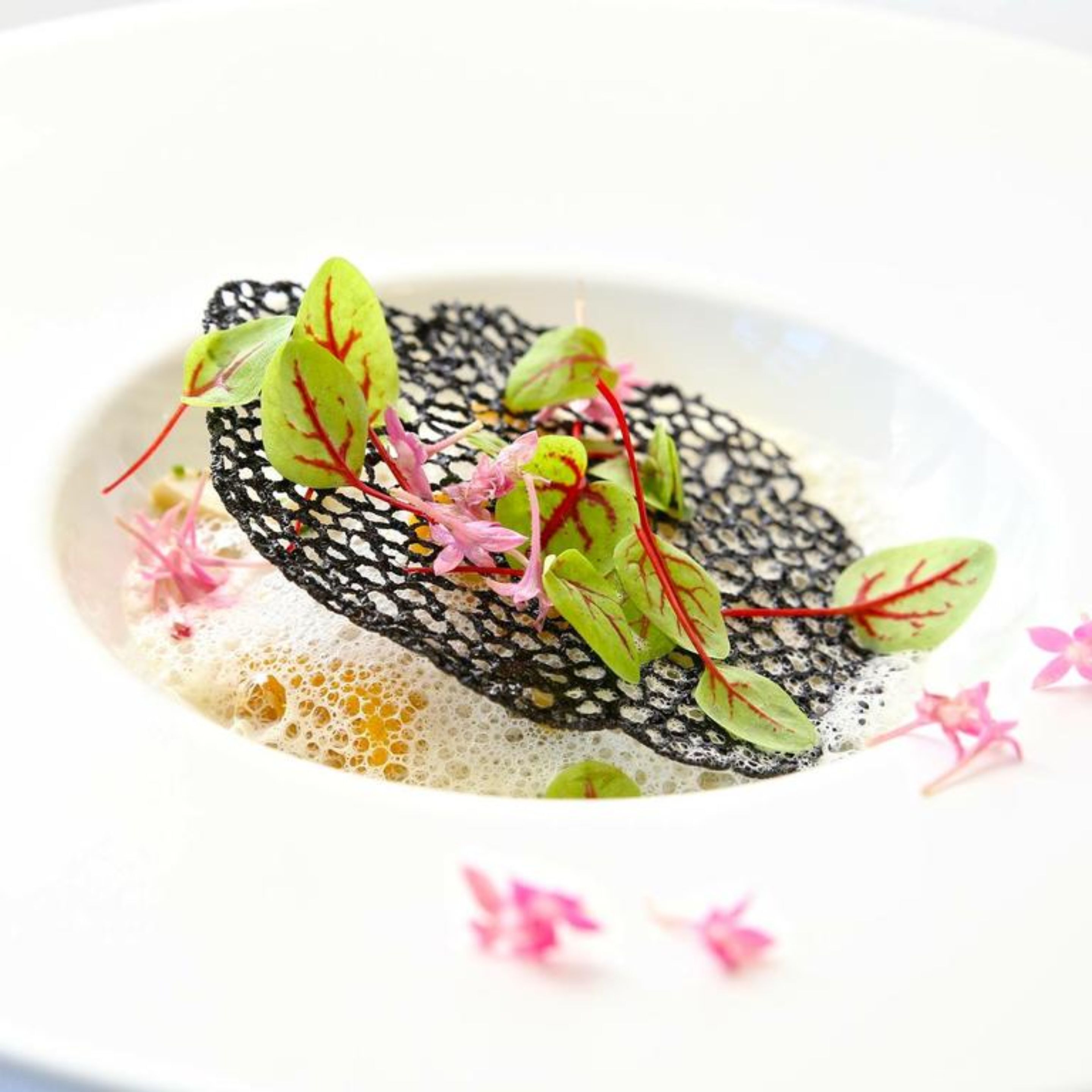 Un plato blanco con hojas verdes y flores rosas.