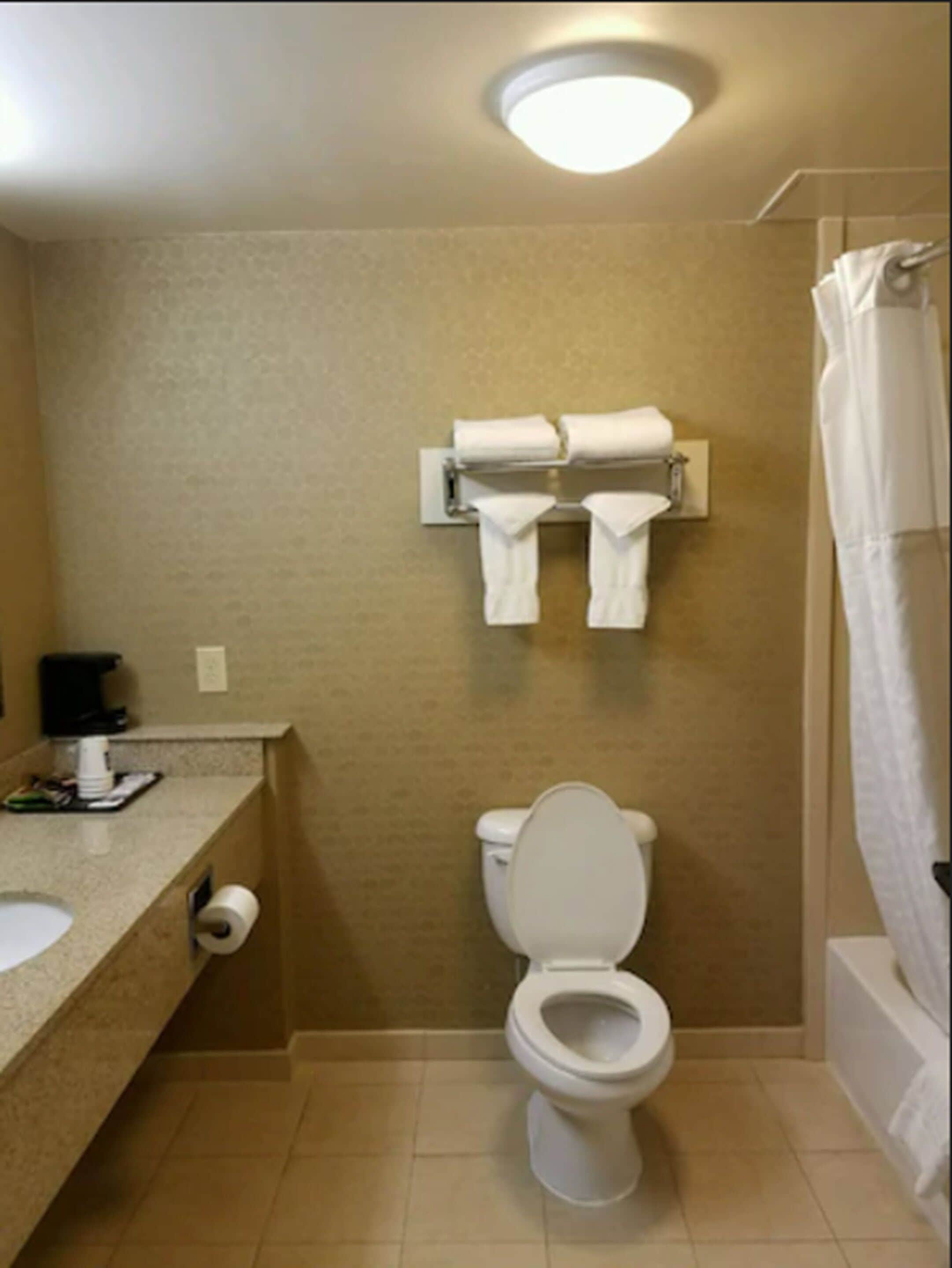 standard room, 1 king bed, non smoking | bathroom | free toiletries, hair dryer, towels