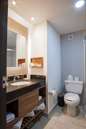 Shower, free toiletries, hair dryer, towels