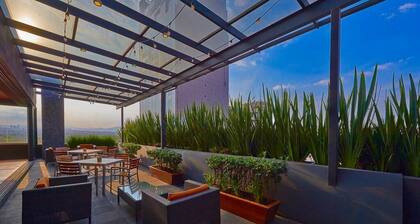 Hilton Garden Inn Mexico City Polanco