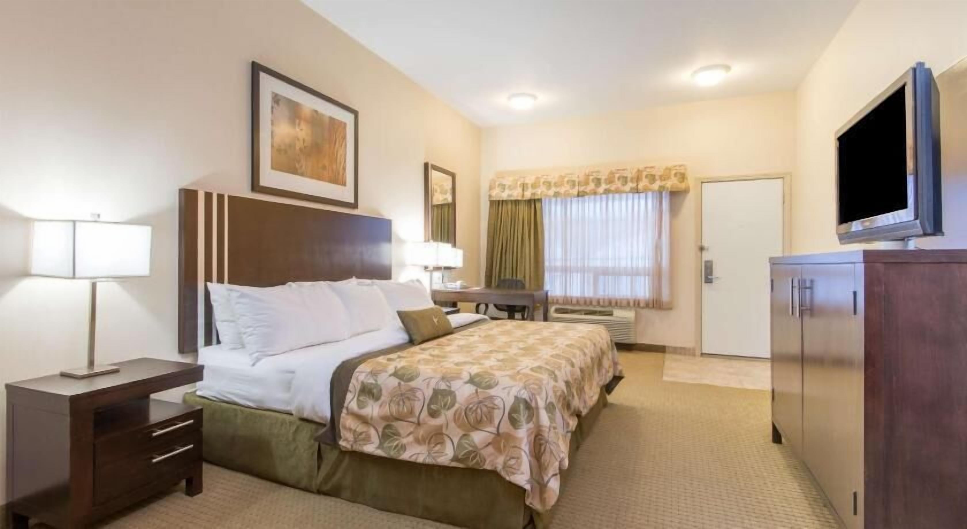 Desk, iron/ironing board, free cribs/infant beds, rollaway beds